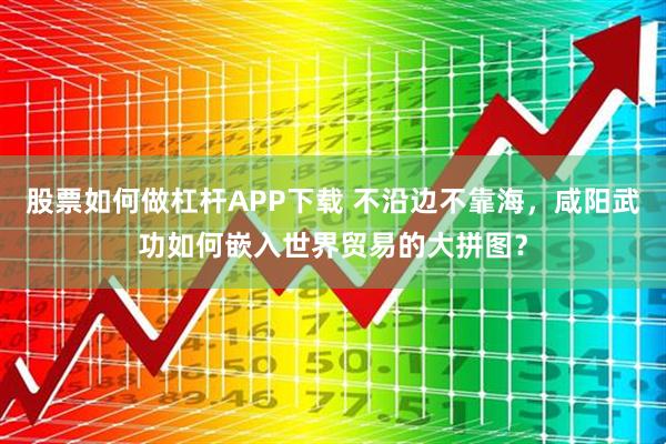 股票如何做杠杆APP下载 不沿边不靠海，咸阳武功如何嵌入世界贸易的大拼图？